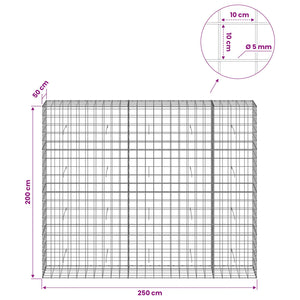 Γκαμπιόν με σύρμα 5 mm και πλέγμα 10x10 cm 250x50x200 εκ.