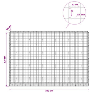 Γκαμπιόν με σύρμα 5 mm και πλέγμα 10x10 cm 300x50x200 εκ