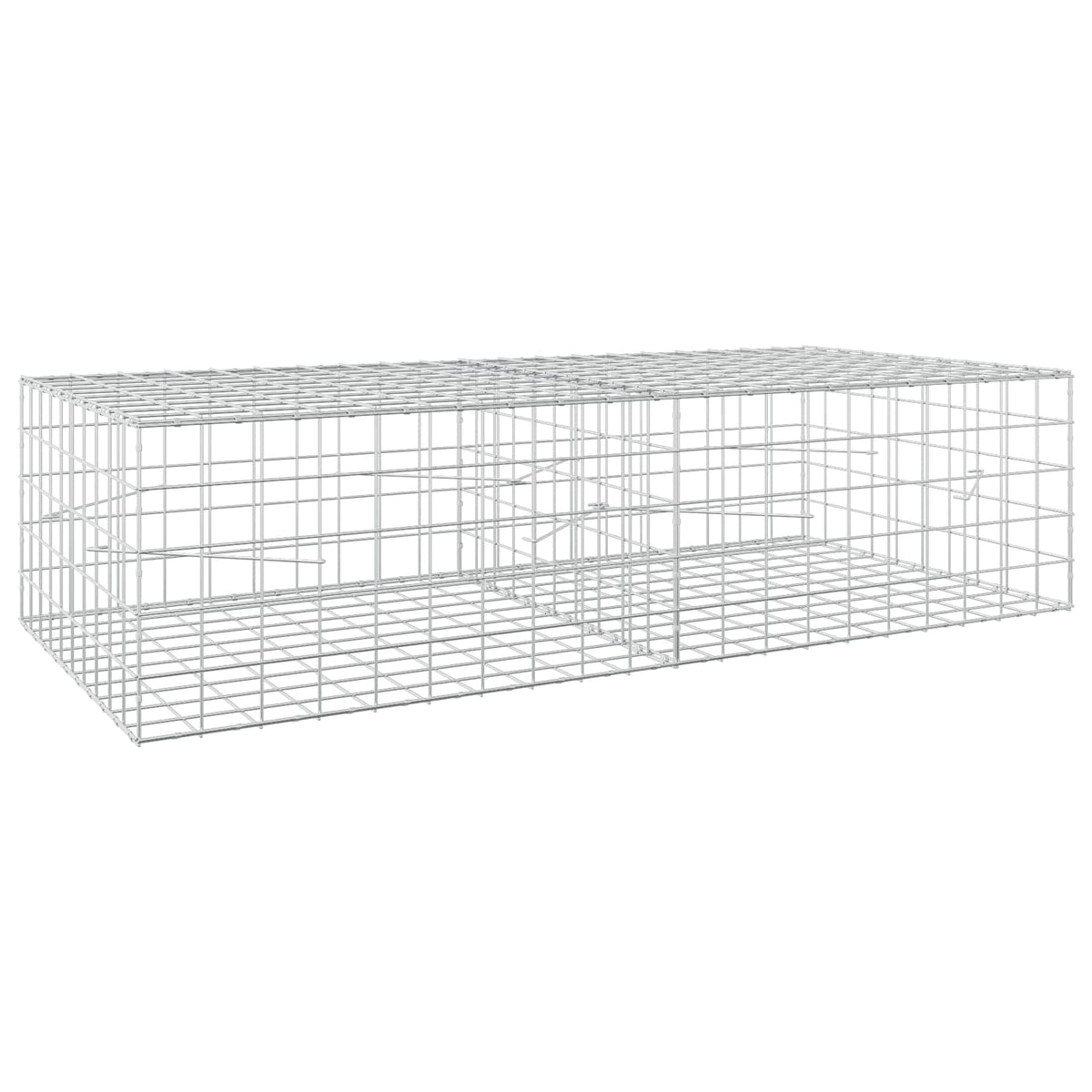 Γκαμπιόν με σύρμα 5 mm και πλέγμα 10x10 cm 200x100x50 εκ - Pakobazaar