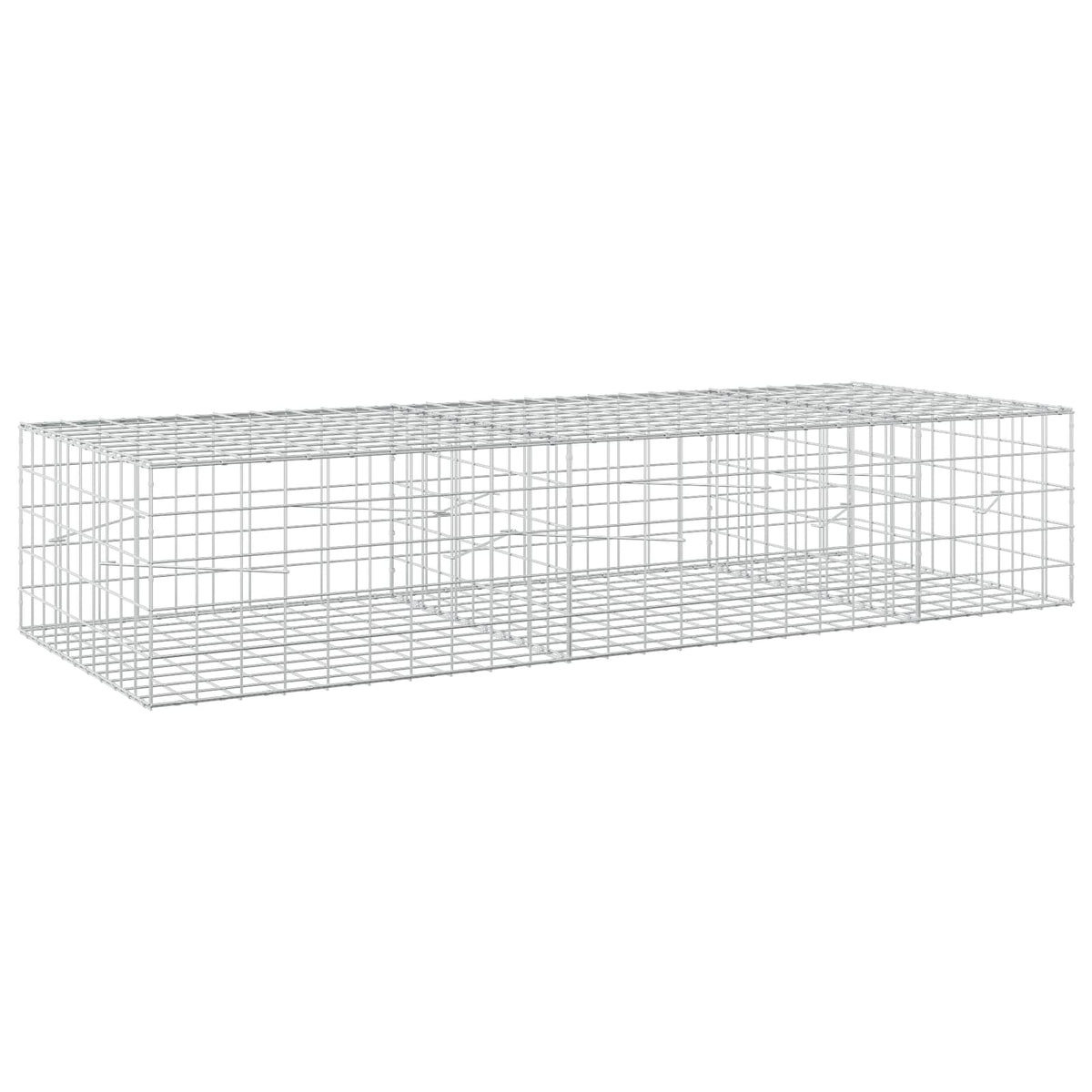 Γκαμπιόν με σύρμα 5 mm και πλέγμα 10x10 cm 250x100x50 εκ. - Pakobazaar