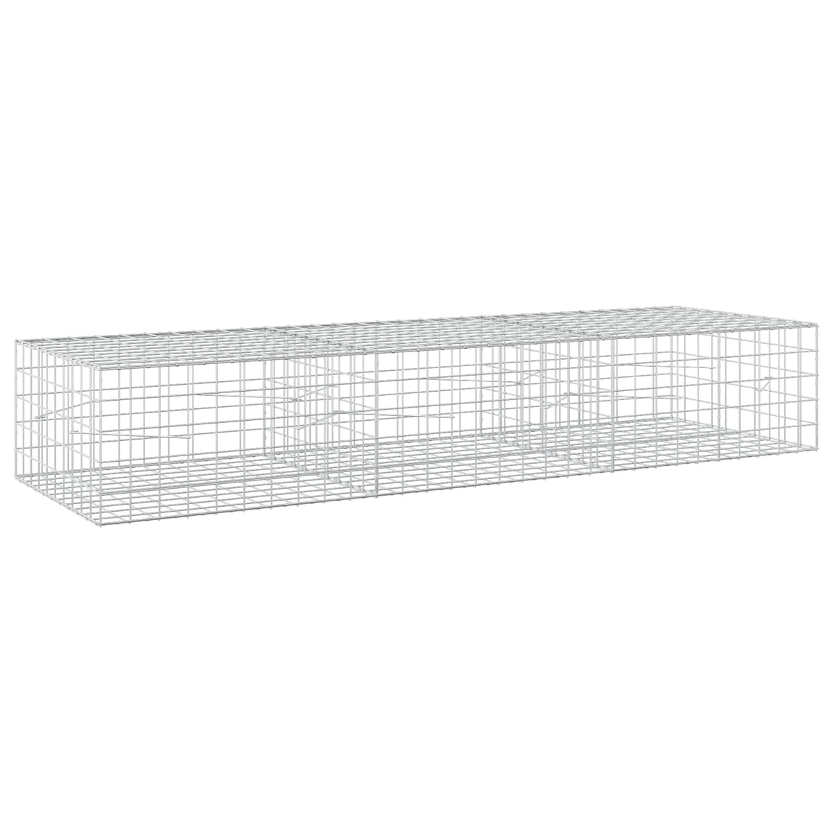 Γκαμπιόν με σύρμα 5 mm και πλέγμα 10x10 cm 300x100x50 εκ - Pakobazaar