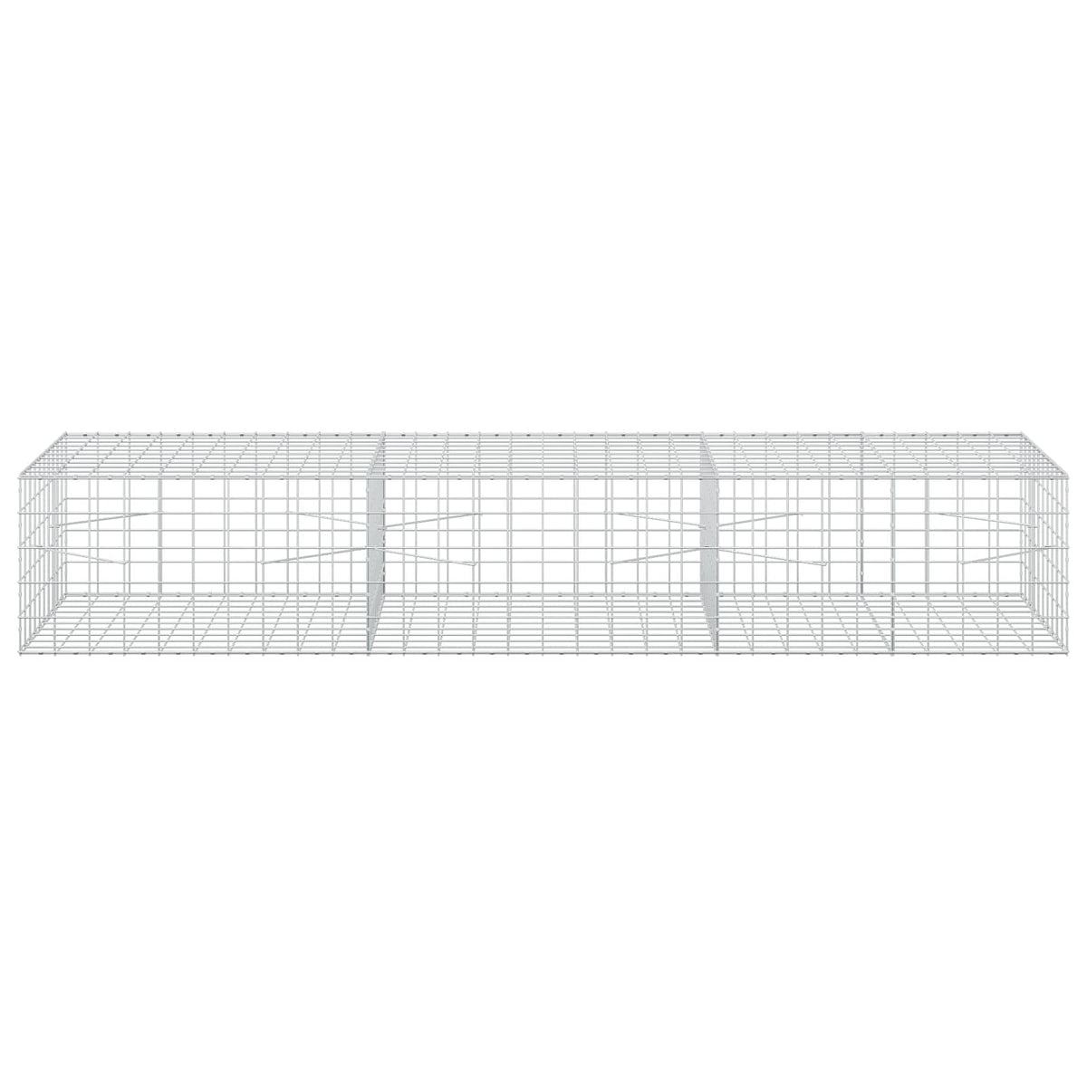 Γκαμπιόν με σύρμα 5 mm και πλέγμα 10x10 cm 300x100x50 εκ - Pakobazaar