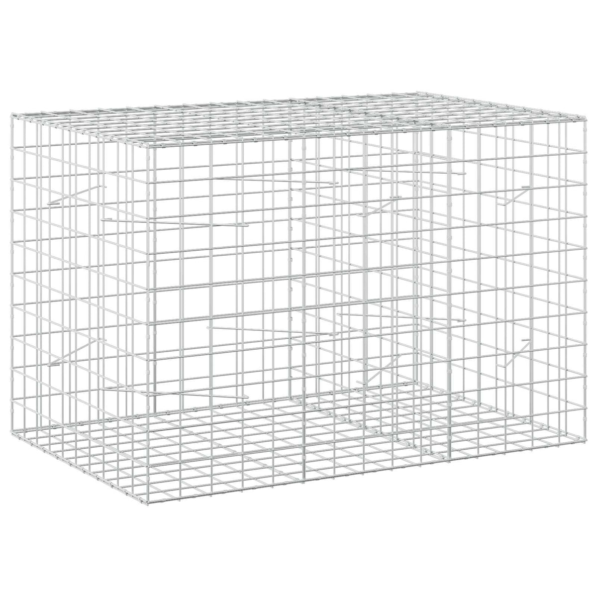 Γκαμπιόν με σύρμα 5 mm και πλέγμα 10x10 cm 150x100x100 εκ. - Pakobazaar
