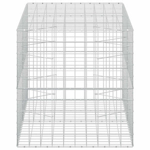 Γκαμπιόν με σύρμα 5 mm και πλέγμα 10x10 cm 200x100x100 εκ.