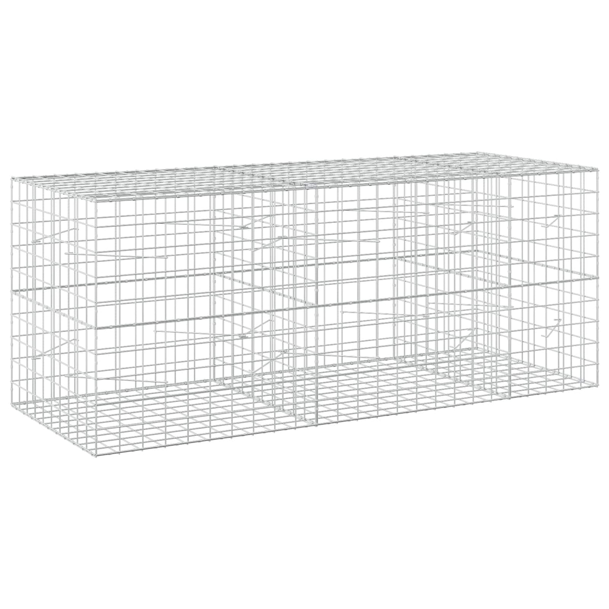Γκαμπιόν με σύρμα 5 mm και πλέγμα 10x10 cm 250x100x100 εκ.