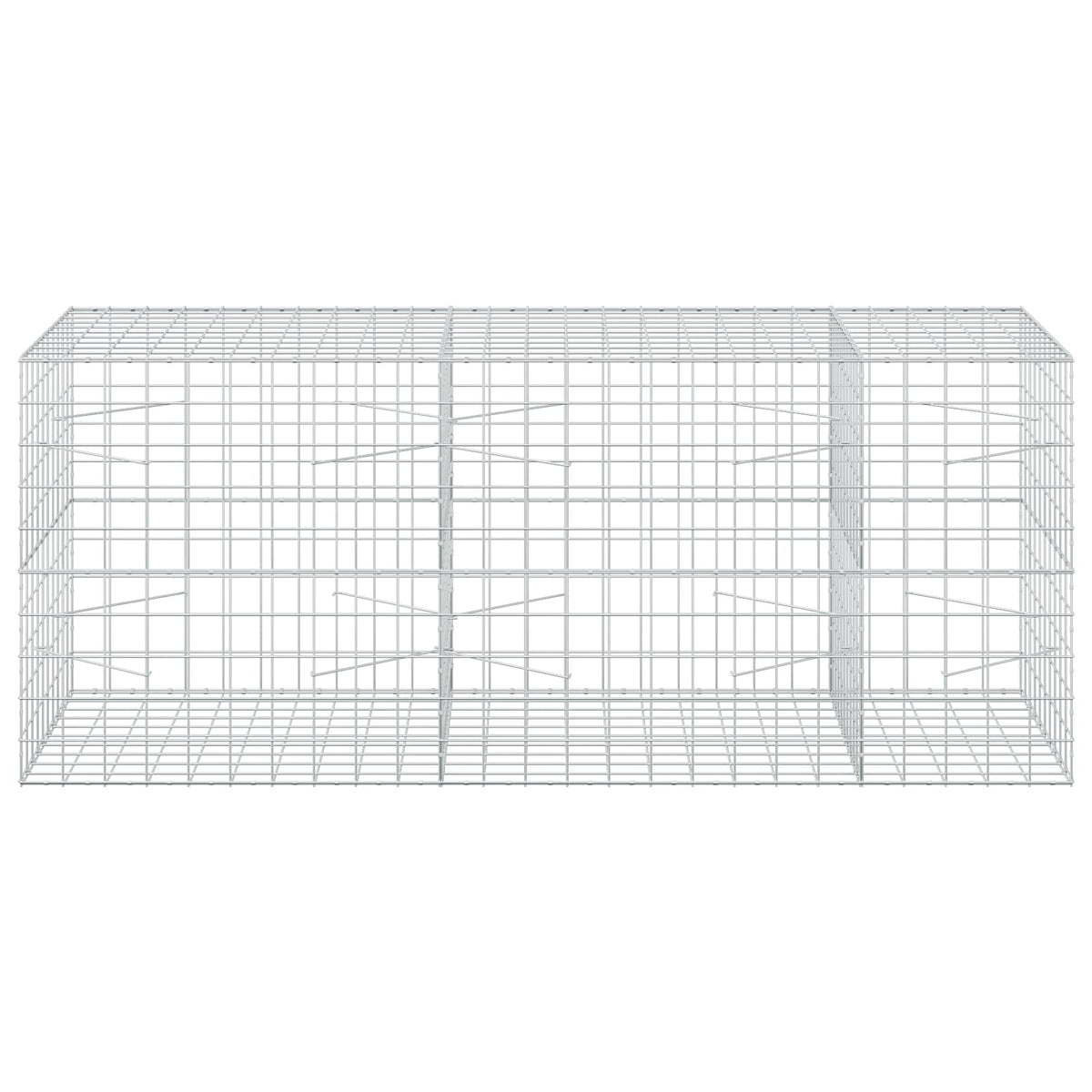 Γκαμπιόν με σύρμα 5 mm και πλέγμα 10x10 cm 250x100x100 εκ.