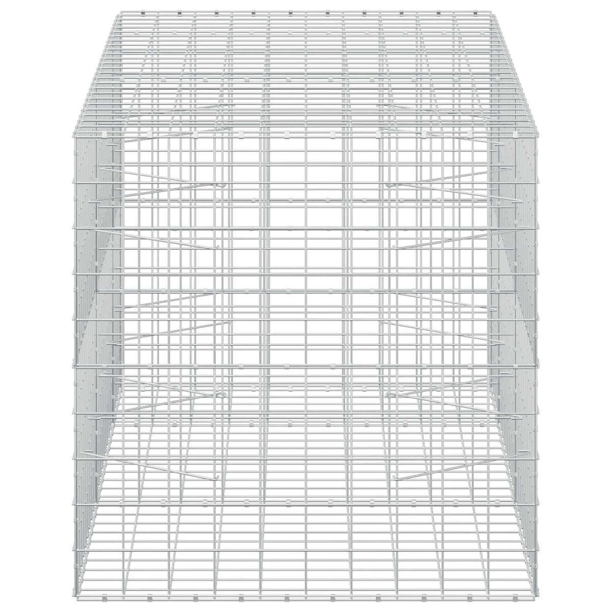 Γκαμπιόν με σύρμα 5 mm και πλέγμα 10x10 cm 250x100x100 εκ.