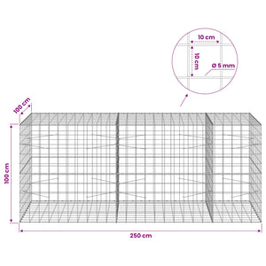 Γκαμπιόν με σύρμα 5 mm και πλέγμα 10x10 cm 250x100x100 εκ.