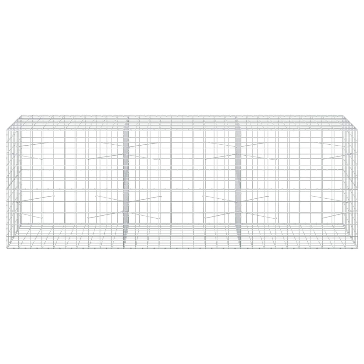 Γκαμπιόν με σύρμα 5 mm και πλέγμα 10x10 cm 300x100x100 εκ. - Pakobazaar