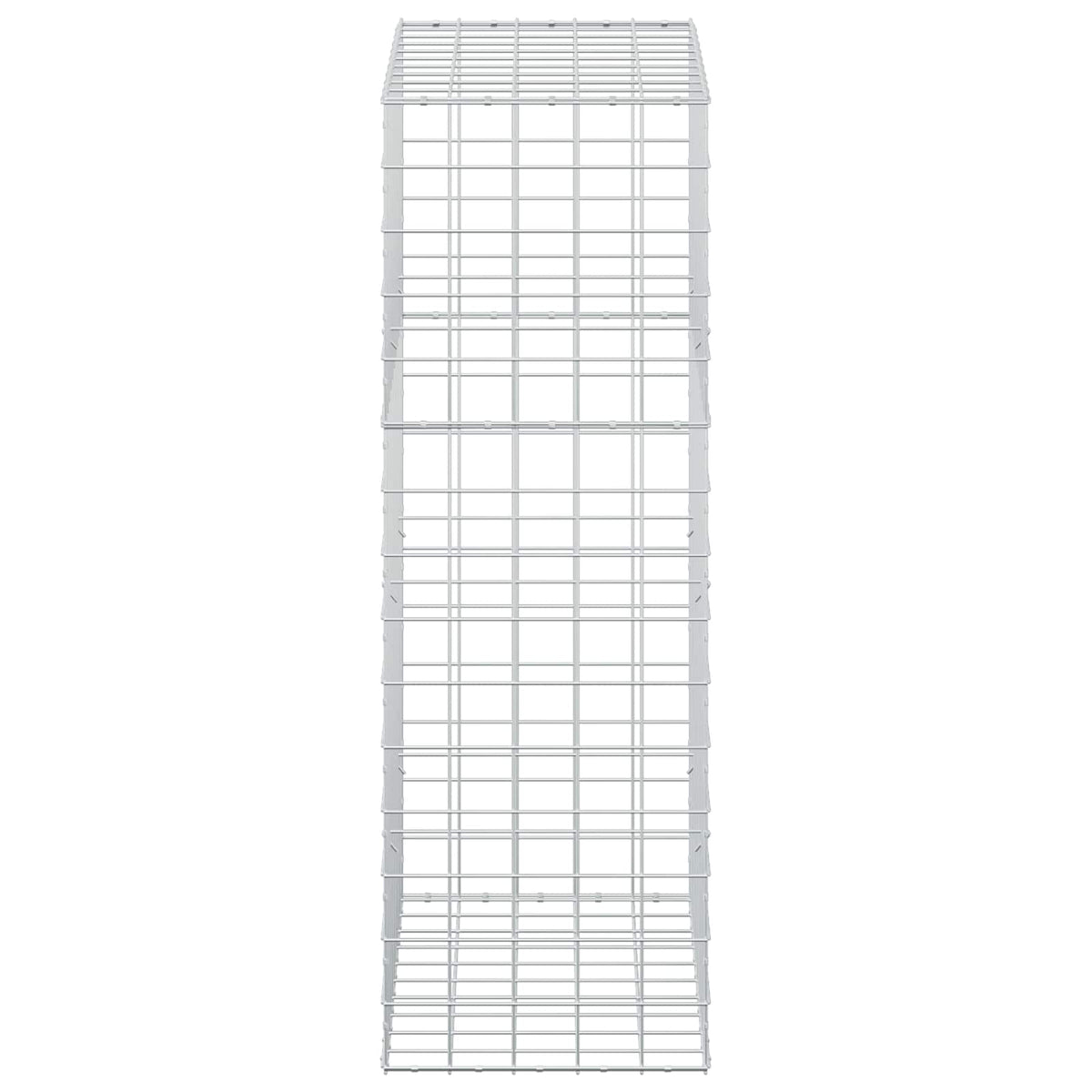 Γκαμπιόν με σύρμα 5 mm και πλέγμα 10x10 cm 50x100x150 εκ. - Pakobazaar