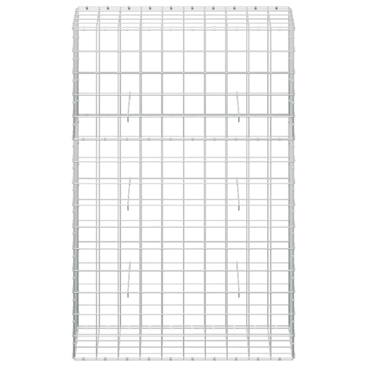 Γκαμπιόν με σύρμα 5 mm και πλέγμα 10x10 cm 50x100x150 εκ. - Pakobazaar