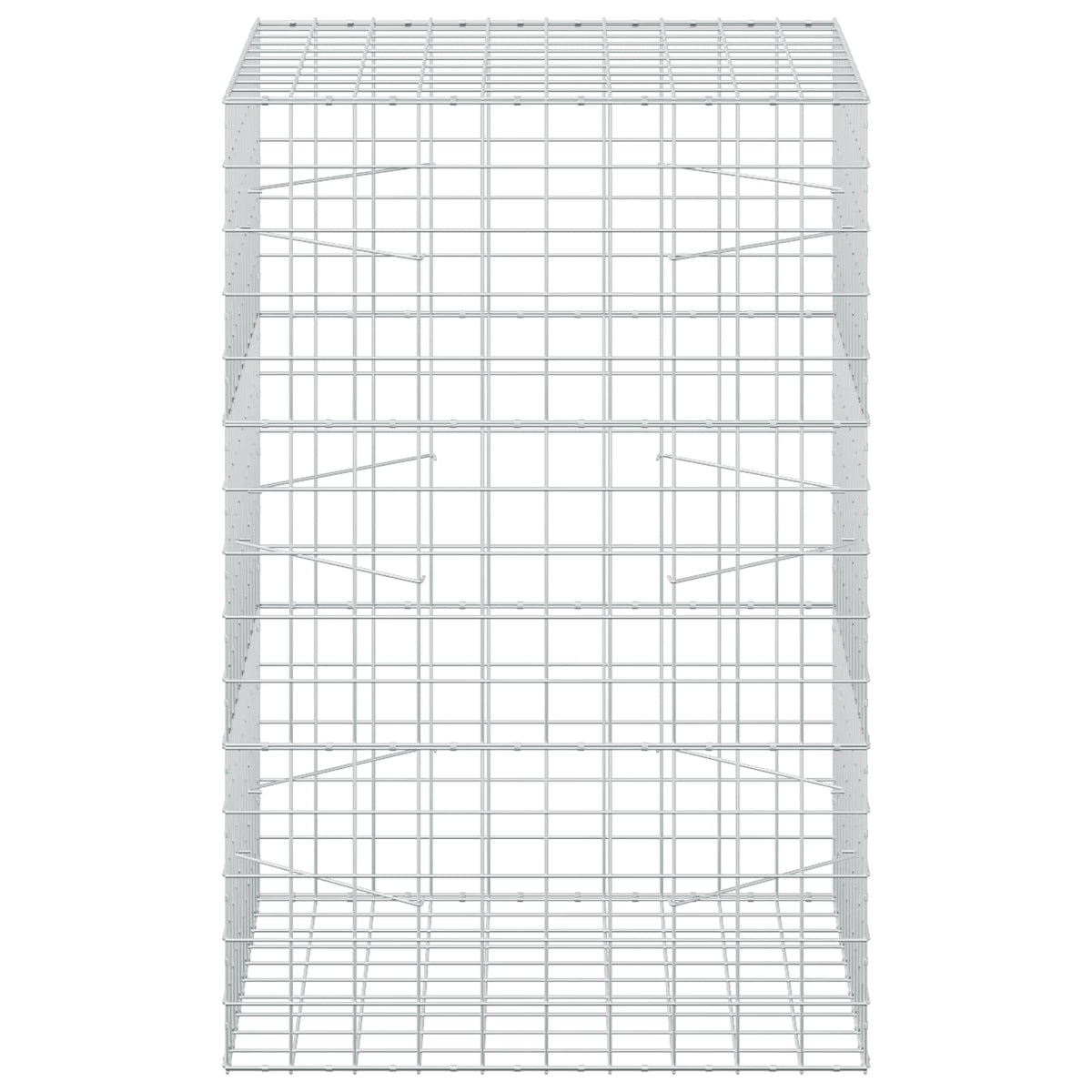 Γκαμπιόν με σύρμα 5 mm και πλέγμα 10x10 cm 100x100x150 εκ - Pakobazaar