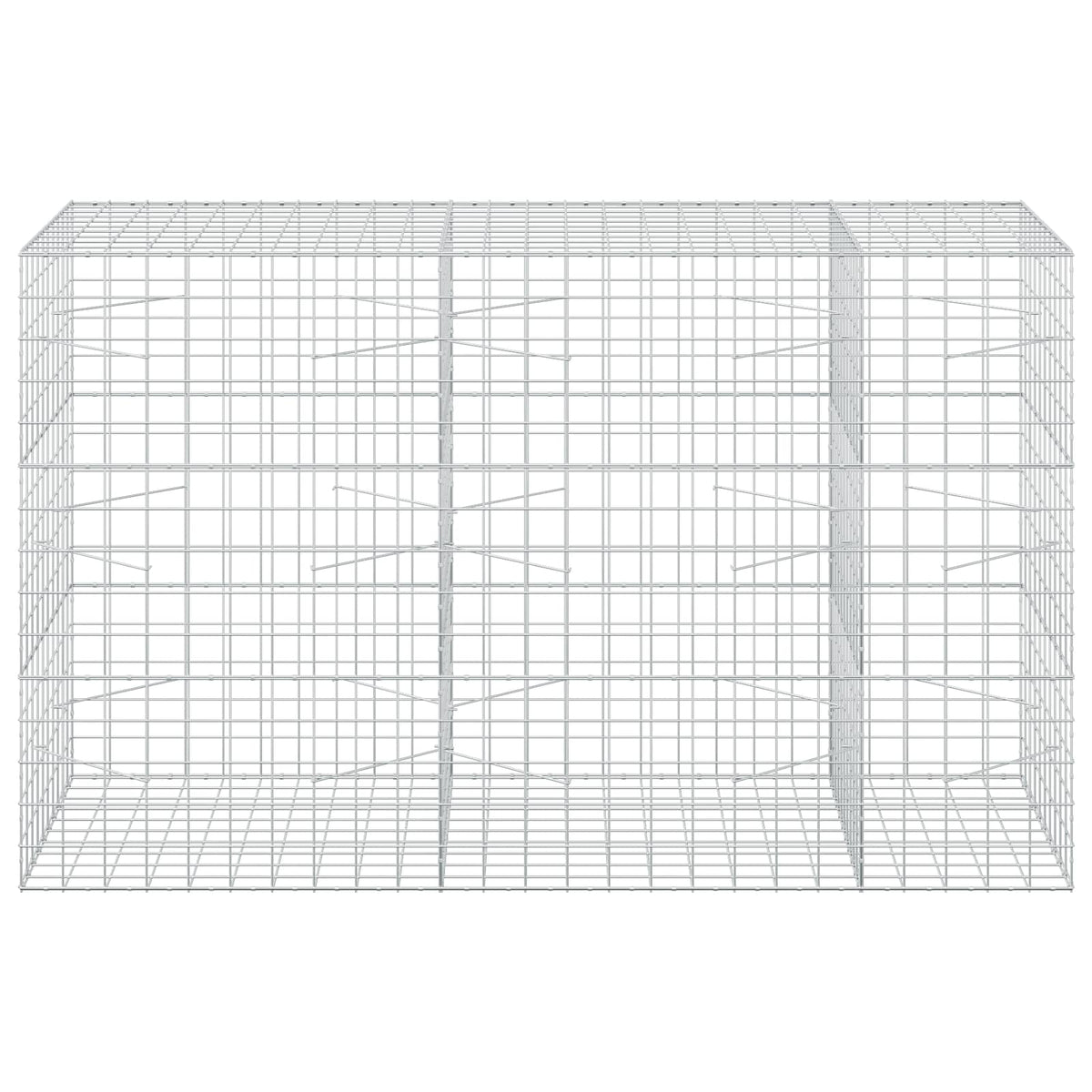 Γκαμπιόν με σύρμα 5 mm και πλέγμα 10x10 cm 250x100x150 εκ. - Pakobazaar