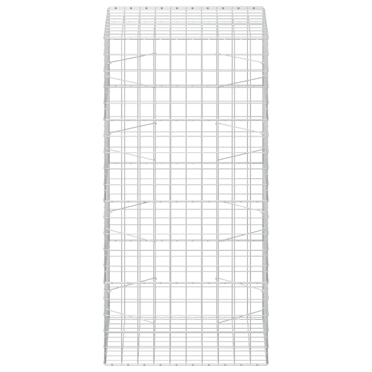 Γκαμπιόν με σύρμα 5 mm και πλέγμα 10x10 cm 100x100x200 εκ - Pakobazaar