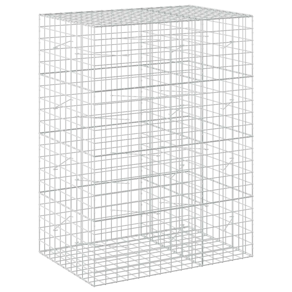 Γκαμπιόν με σύρμα 5 mm και πλέγμα 10x10 cm 150x100x200 εκ.