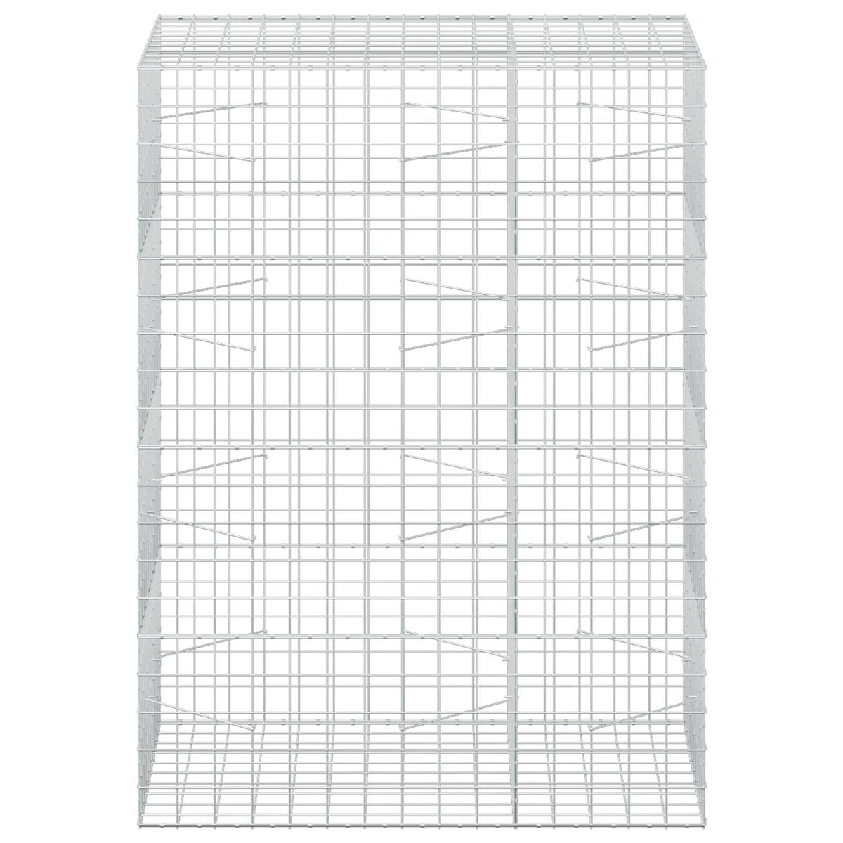 Γκαμπιόν με σύρμα 5 mm και πλέγμα 10x10 cm 150x100x200 εκ.