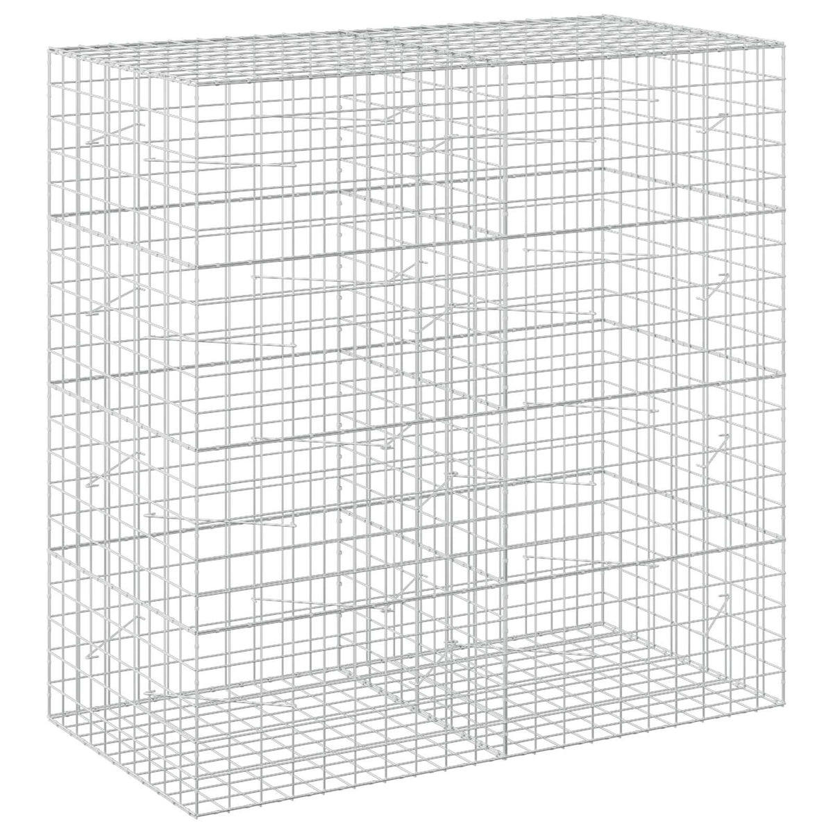 Γκαμπιόν με σύρμα 5 mm και πλέγμα 10x10 cm 200x100x200 εκ