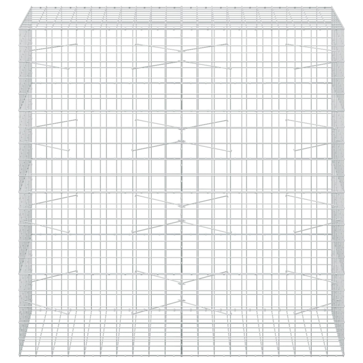Γκαμπιόν με σύρμα 5 mm και πλέγμα 10x10 cm 200x100x200 εκ