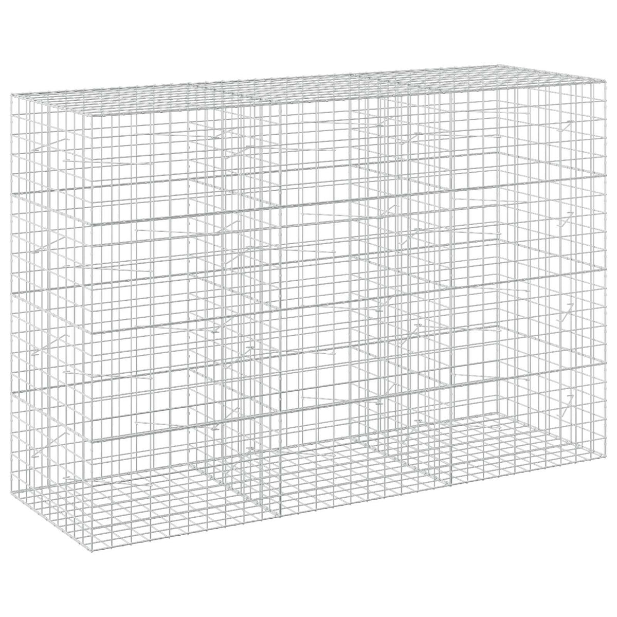 Γκαμπιόν με σύρμα 5 mm και πλέγμα 10x10 cm 300x100x200 εκ