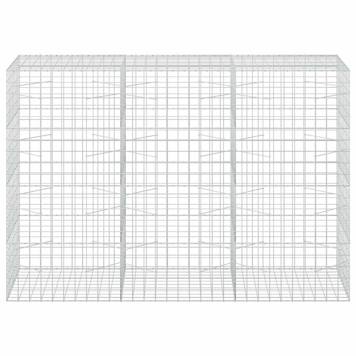 Γκαμπιόν με σύρμα 5 mm και πλέγμα 10x10 cm 300x100x200 εκ
