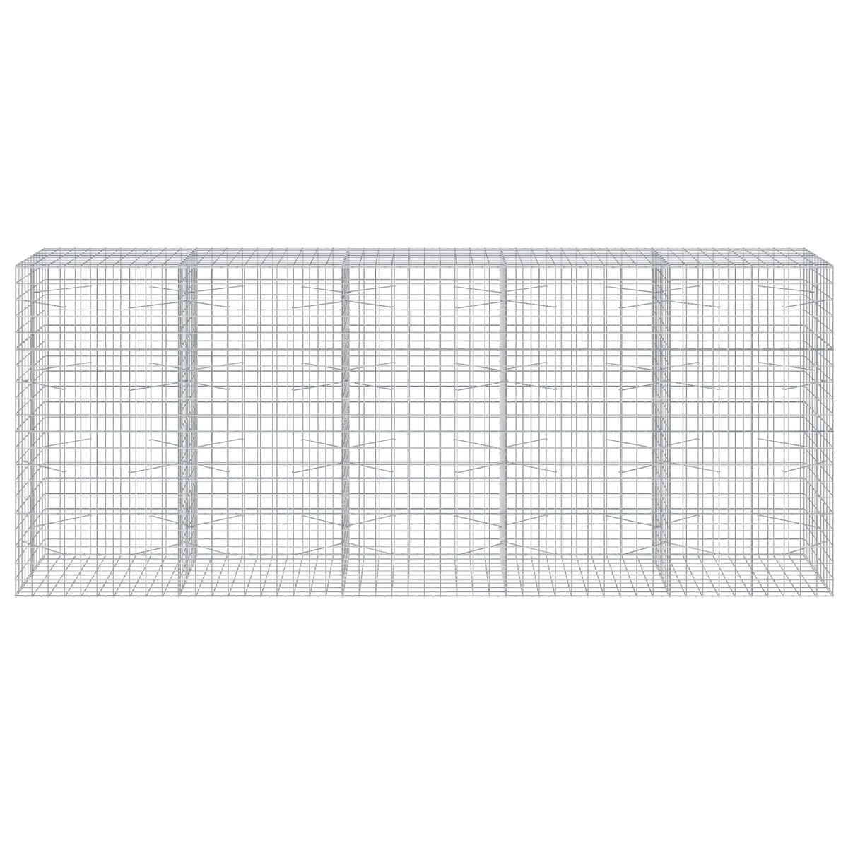 Γκαμπιόν με σύρμα 5 mm και πλέγμα 10x10 cm 500x100x200 εκ
