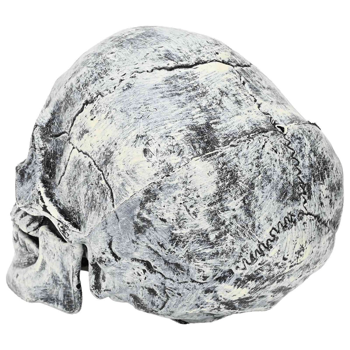 Νεκροκεφαλή Halloween SPOOKA 2 τμχ. Λευκό 12 x 15 x 17,5 εκ. - Pakobazaar