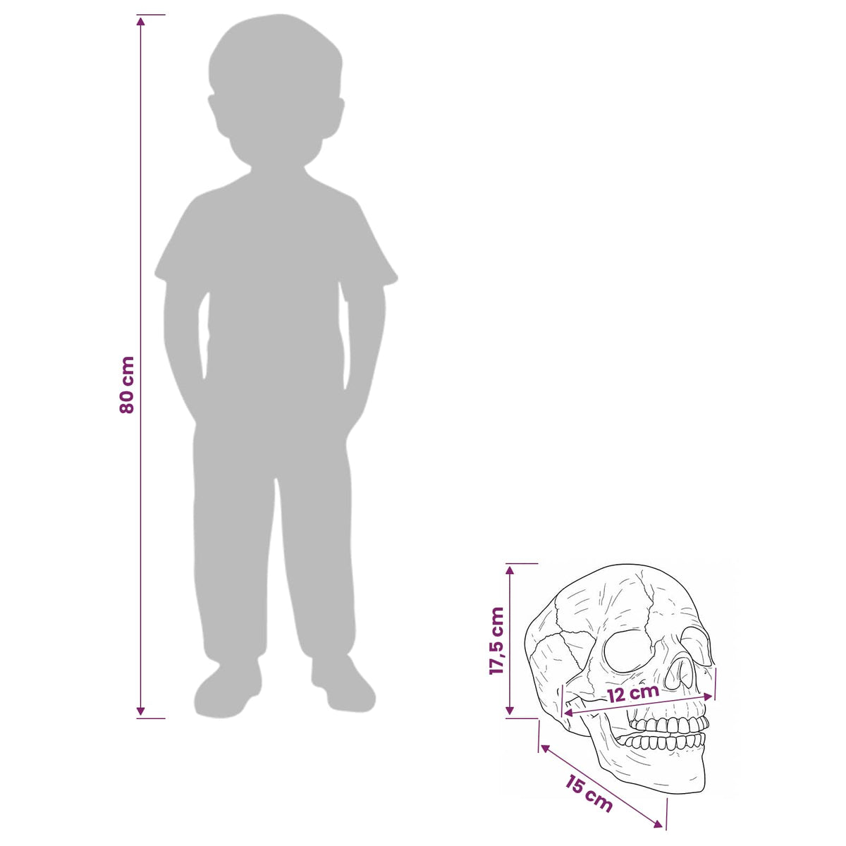 Νεκροκεφαλή Halloween SPOOKA 2 τμχ. Λευκό 12 x 15 x 17,5 εκ. - Pakobazaar