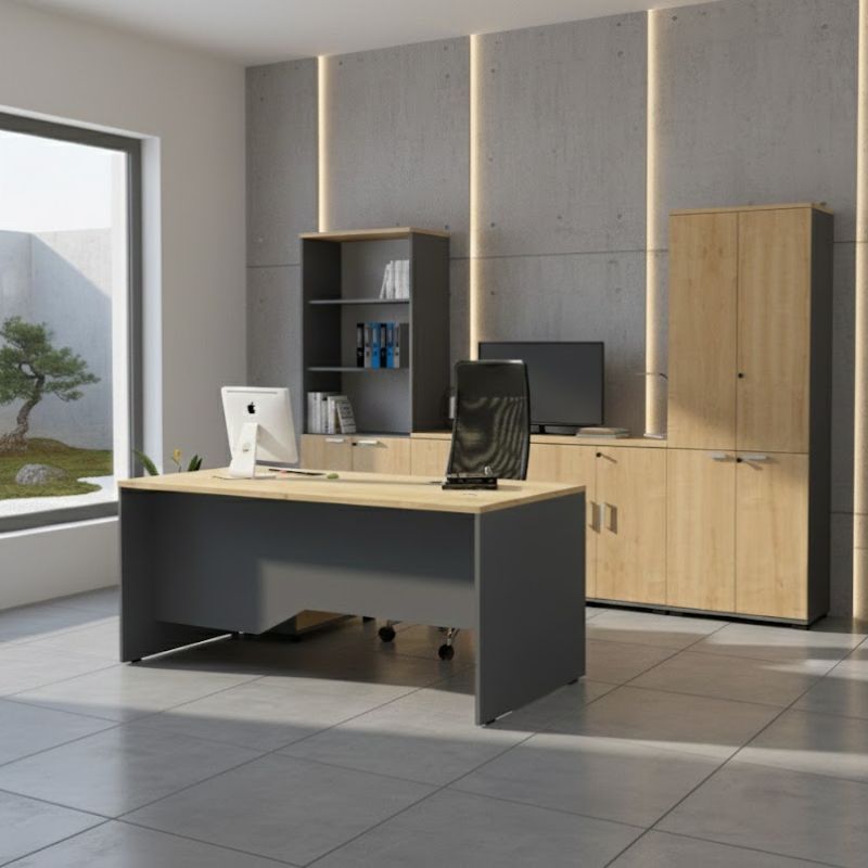 Ντουλάπι γραφείου με κλειδαριά επαγγελματικό Venturo  χρώμα ανθρακί - φυσικό οξιάς 80x40x80εκ.