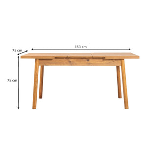 Τραπέζι Jemmy  επεκτεινόμενο χρώμα atlantic pine 120/153x75x77εκ.