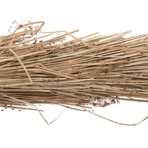 ΔΙΑΚΟΣΜΗΤΙΚΟ ΔΕΝΤΡΟ TROPIC HM4322 τ.ΦΟΙΝΙΚΑ ΑΠΟ MENDONG GRASS 360Yεκ. - Pakobazaar