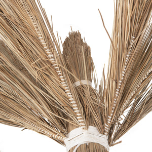 ΔΙΑΚΟΣΜΗΤΙΚΟ ΔΕΝΤΡΟ TROPIC HM4322 τ.ΦΟΙΝΙΚΑ ΑΠΟ MENDONG GRASS 360Yεκ. - Pakobazaar