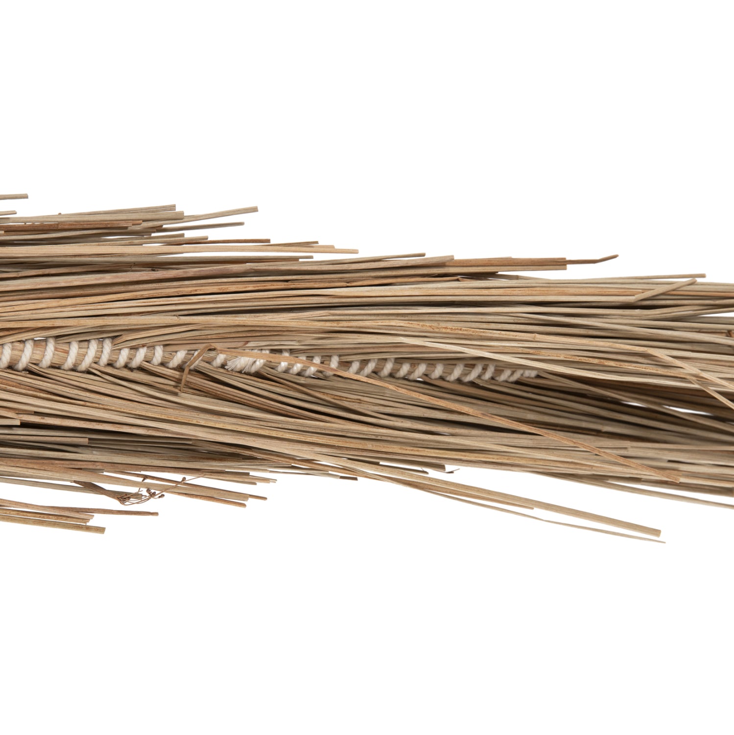 ΔΙΑΚΟΣΜΗΤΙΚΟ ΔΕΝΤΡΟ TROPIC HM4323 τ.ΦΟΙΝΙΚΑ ΑΠΟ MENDONG GRASS 310Yεκ. - Pakobazaar