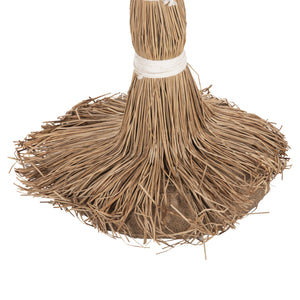 ΔΙΑΚΟΣΜΗΤΙΚΟ ΔΕΝΤΡΟ TROPIC HM4323 τ.ΦΟΙΝΙΚΑ ΑΠΟ MENDONG GRASS 310Yεκ. - Pakobazaar