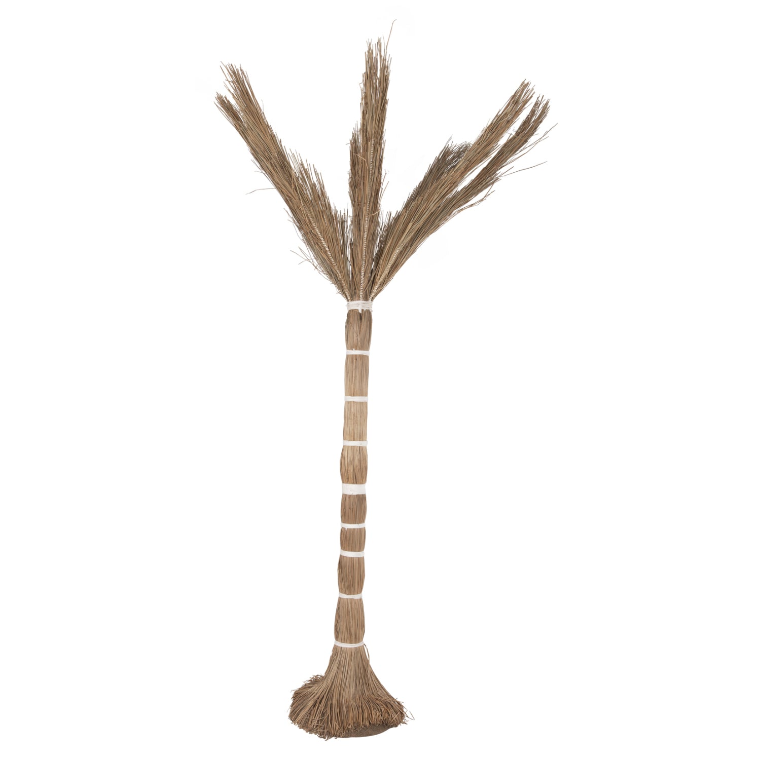ΔΙΑΚΟΣΜΗΤΙΚΟ ΔΕΝΤΡΟ TROPIC HM4324 τ.ΦΟΙΝΙΚΑ ΑΠΟ MENDONG GRASS 280Yεκ. - Pakobazaar