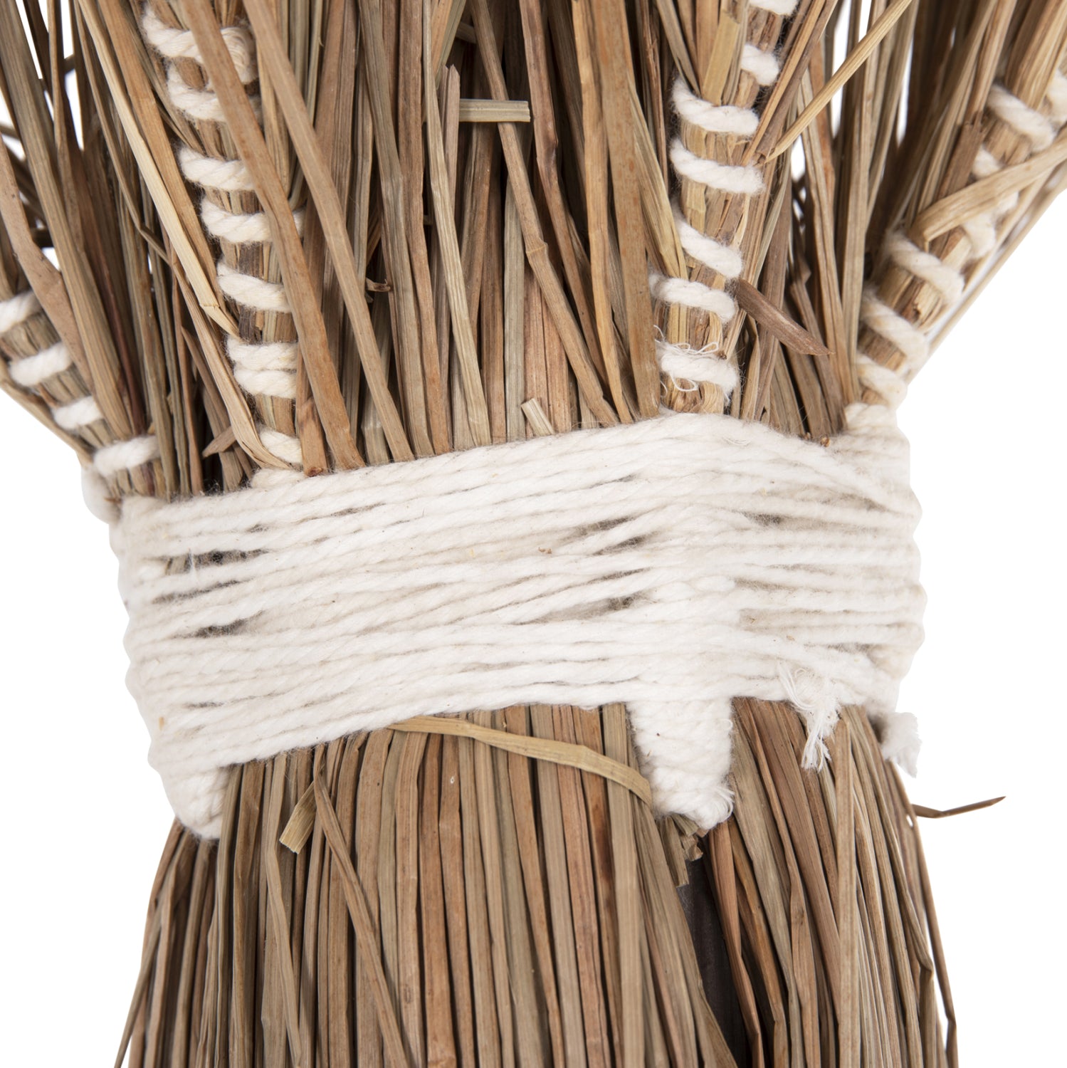 ΔΙΑΚΟΣΜΗΤΙΚΟ ΔΕΝΤΡΟ TROPIC HM4324 τ.ΦΟΙΝΙΚΑ ΑΠΟ MENDONG GRASS 280Yεκ. - Pakobazaar
