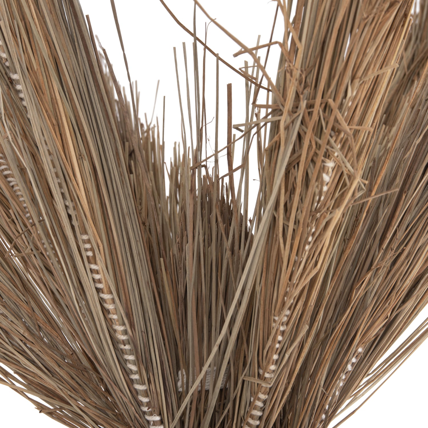 ΔΙΑΚΟΣΜΗΤΙΚΟ ΔΕΝΤΡΟ TROPIC HM4324 τ.ΦΟΙΝΙΚΑ ΑΠΟ MENDONG GRASS 280Yεκ. - Pakobazaar
