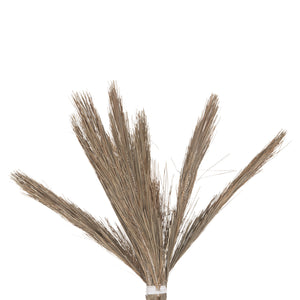 ΔΙΑΚΟΣΜΗΤΙΚΟ ΔΕΝΤΡΟ TROPIC HM4325 τ.ΦΟΙΝΙΚΑ ΑΠΟ MENDONG GRASS 210Yεκ. - Pakobazaar