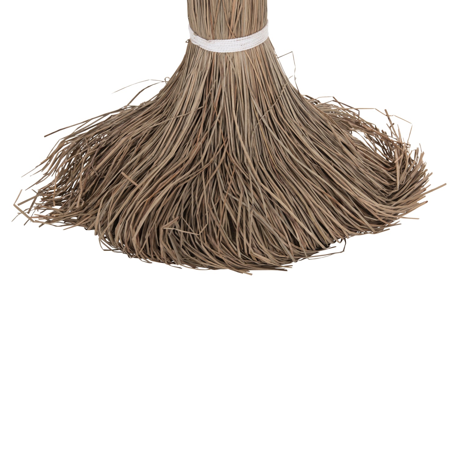 ΔΙΑΚΟΣΜΗΤΙΚΟ ΔΕΝΤΡΟ TROPIC HM4325 τ.ΦΟΙΝΙΚΑ ΑΠΟ MENDONG GRASS 210Yεκ. - Pakobazaar