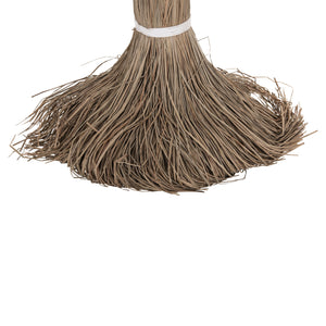 ΔΙΑΚΟΣΜΗΤΙΚΟ ΔΕΝΤΡΟ TROPIC HM4325 τ.ΦΟΙΝΙΚΑ ΑΠΟ MENDONG GRASS 210Yεκ. - Pakobazaar