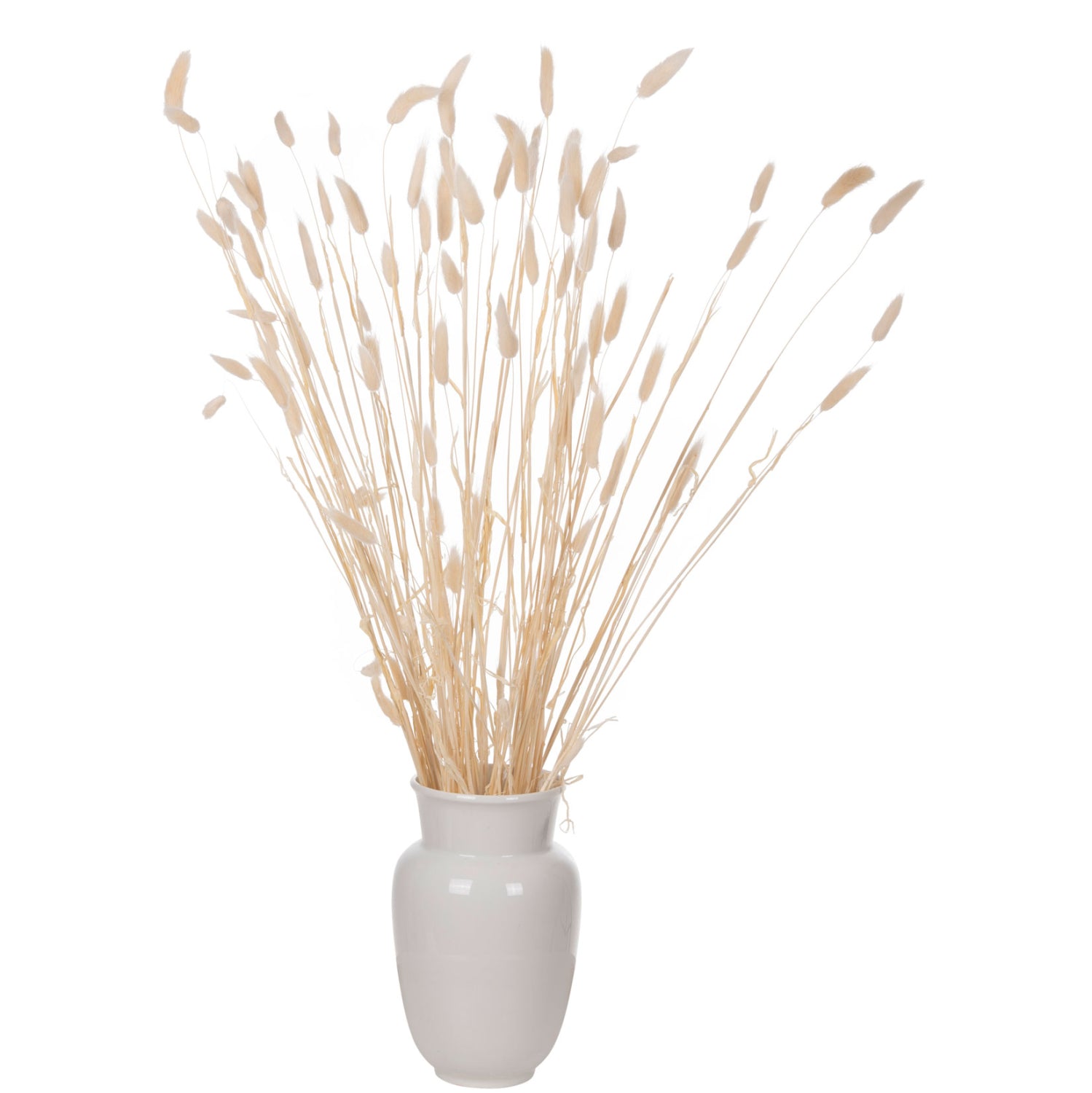 ΔΙΑΚΟΣΜΗΤΙΚΟ ΜΠΟΥΚΕΤΟ ΑΠΟΞΗΡΑΜΕΝΟ HM7959 RABBIT TAIL- CREAM 50gr 76Υεκ. - Pakobazaar