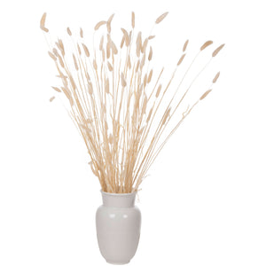 ΔΙΑΚΟΣΜΗΤΙΚΟ ΜΠΟΥΚΕΤΟ ΑΠΟΞΗΡΑΜΕΝΟ HM7959 RABBIT TAIL- CREAM 50gr 76Υεκ. - Pakobazaar