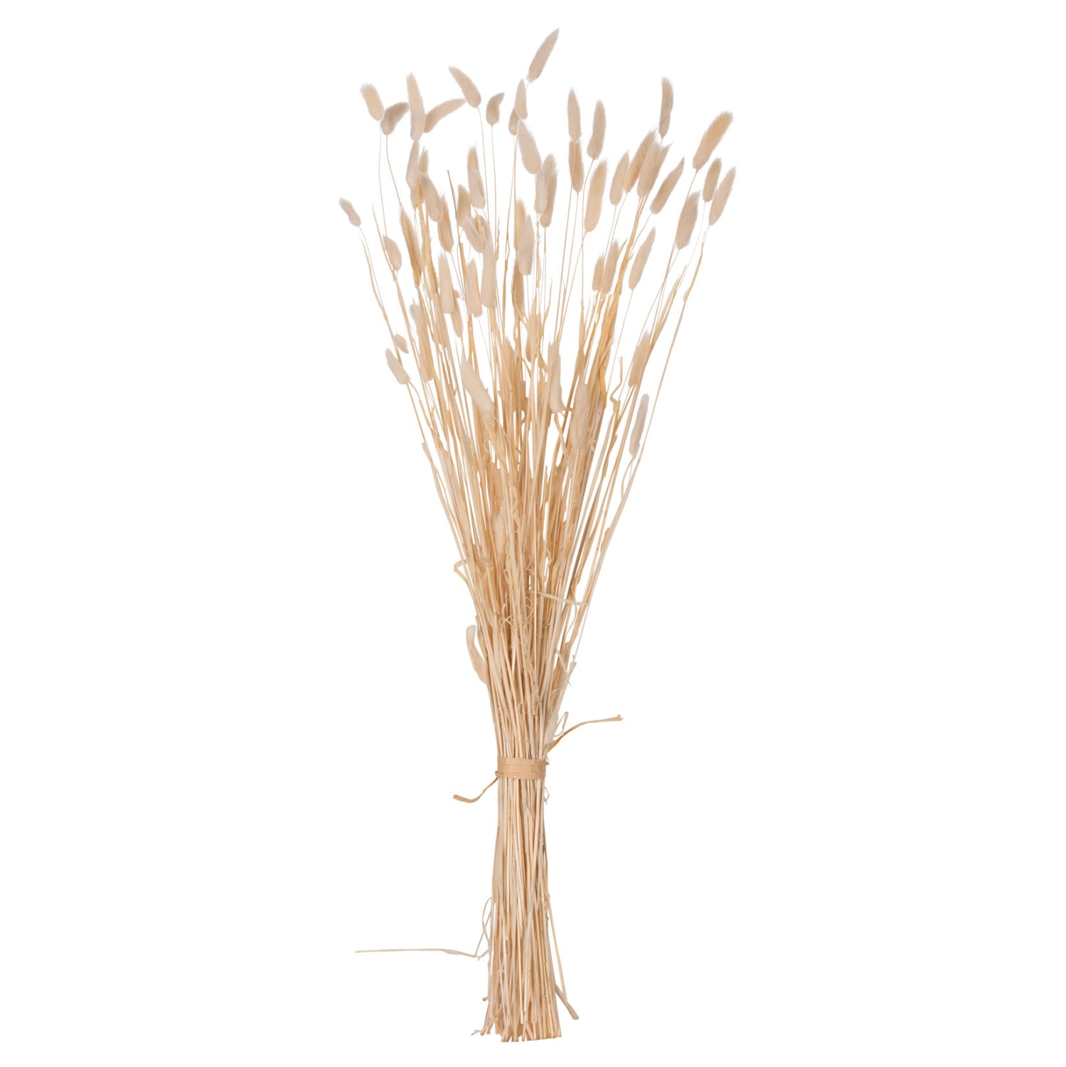 ΔΙΑΚΟΣΜΗΤΙΚΟ ΜΠΟΥΚΕΤΟ ΑΠΟΞΗΡΑΜΕΝΟ HM7959 RABBIT TAIL- CREAM 50gr 76Υεκ. - Pakobazaar