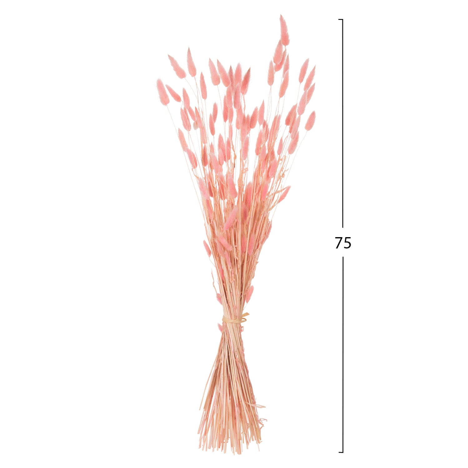 ΔΙΑΚΟΣΜΗΤΙΚΟ ΜΠΟΥΚΕΤΟ ΑΠΟΞΗΡΑΜΕΝΟ HM7960 RABBIT TAIL-PINK 75Υεκ. - Pakobazaar