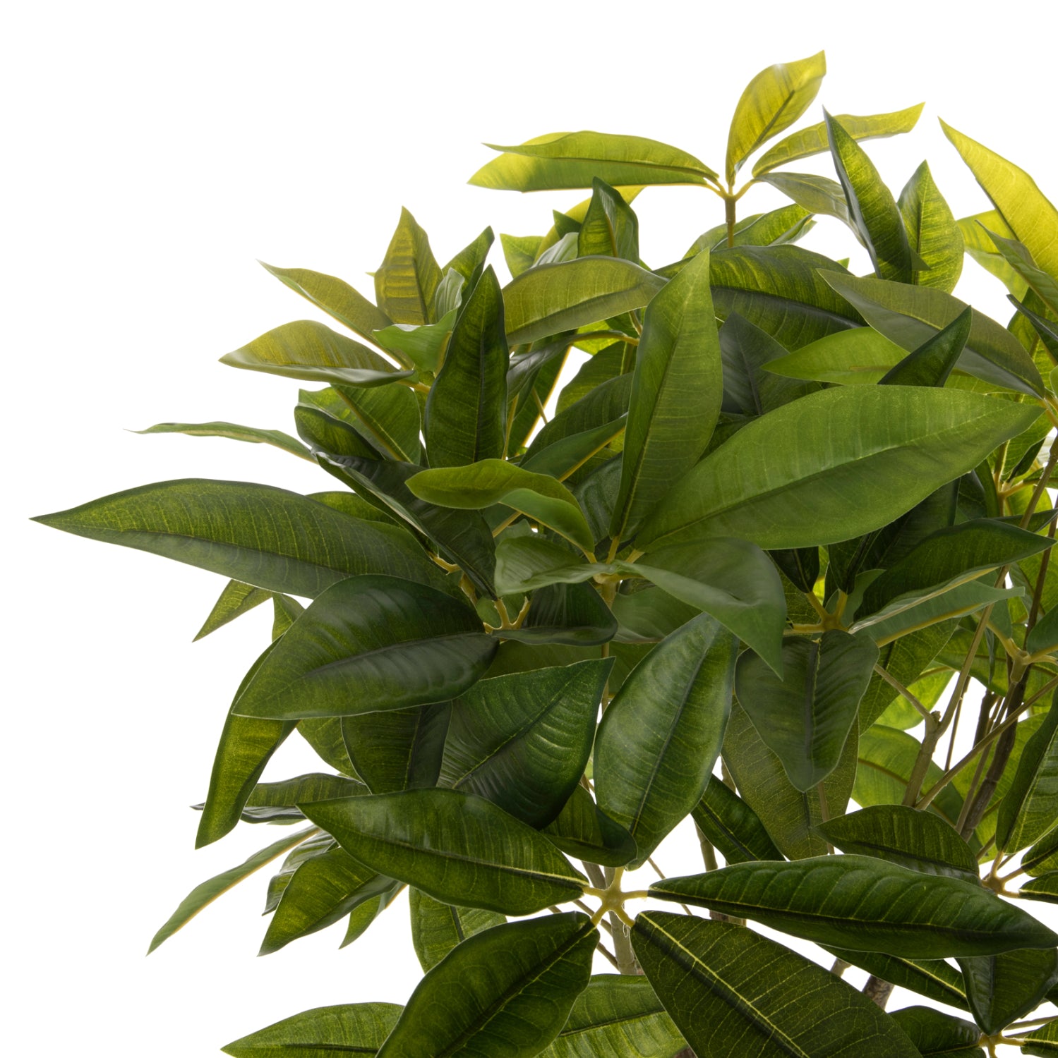 ΔΙΑΚΟΣΜΗΤΙΚΟ ΣΥΝΘΕΤΙΚΟ ΦΥΤΟ HM4002 ΠΑΧΥΡΑ ΣΕ ΓΛΑΣΤΡΑ 100Υεκ. - Pakobazaar