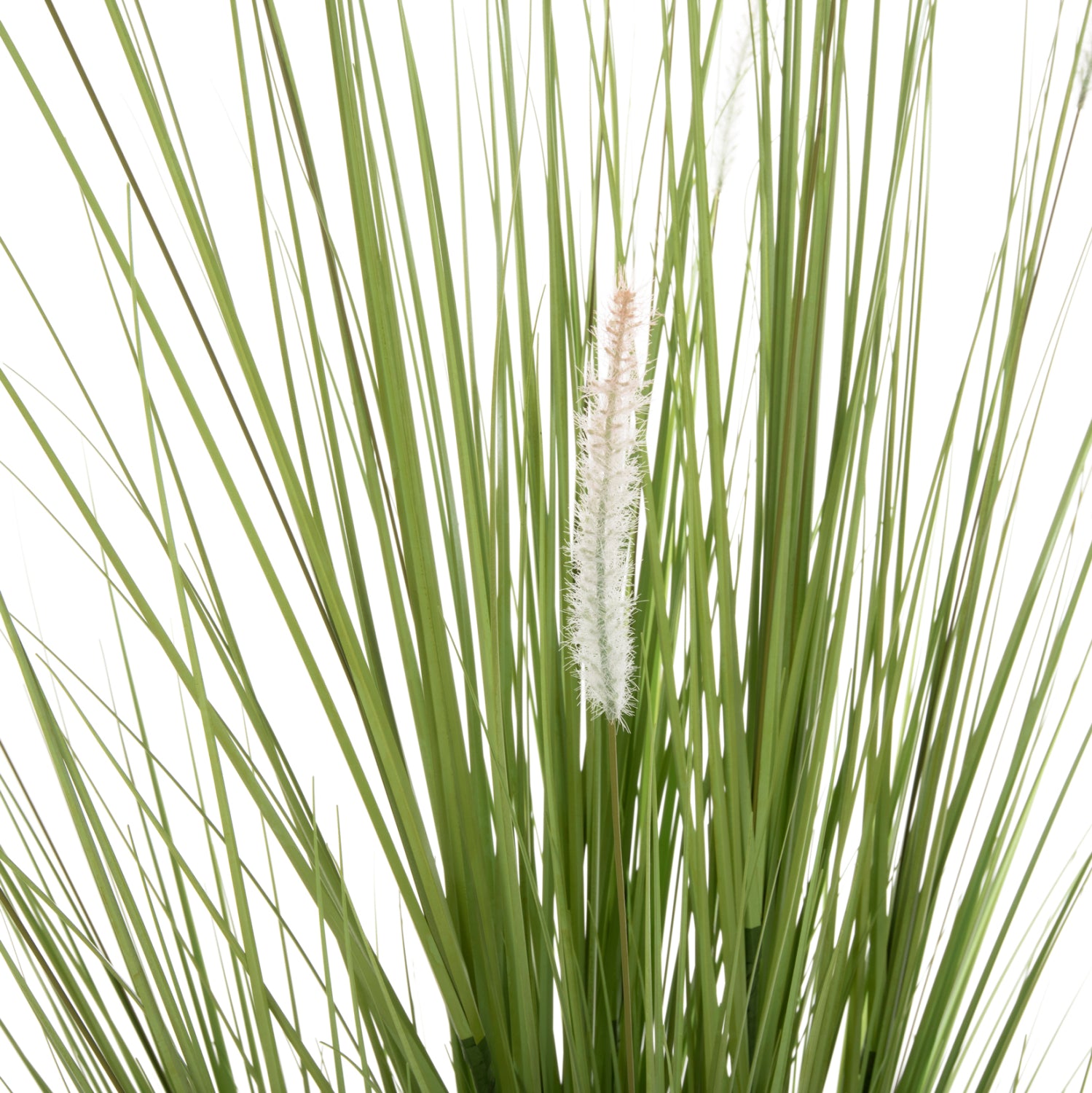 ΔΙΑΚΟΣΜΗΤΙΚΟ ΣΥΝΘΕΤΙΚΟ ΦΥΤΟ HM4017 BRISTLEGRASS ΣΕ ΓΛΑΣΤΡΑ 173Υεκ. - Pakobazaar