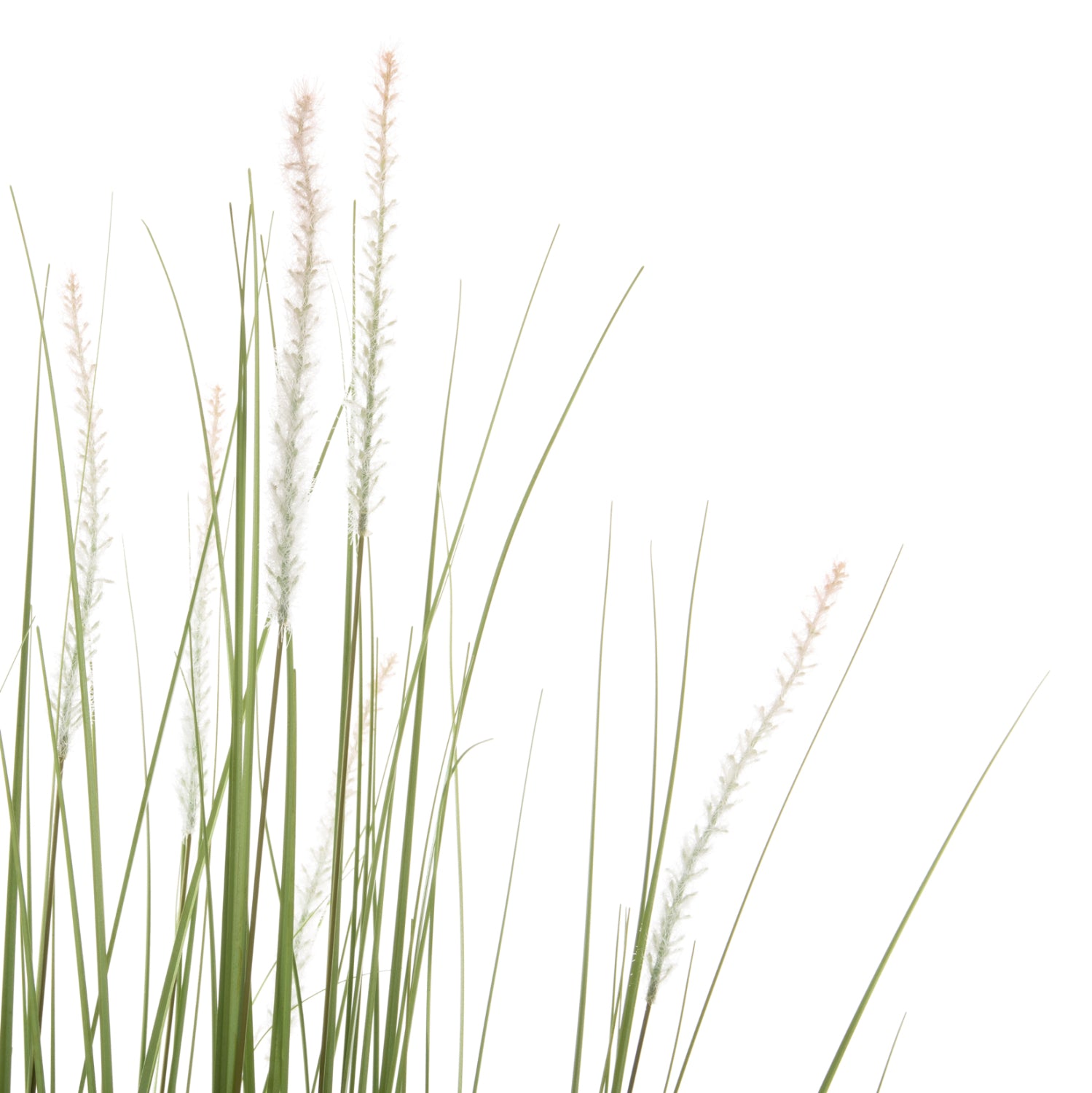 ΔΙΑΚΟΣΜΗΤΙΚΟ ΣΥΝΘΕΤΙΚΟ ΦΥΤΟ HM4017 BRISTLEGRASS ΣΕ ΓΛΑΣΤΡΑ 173Υεκ. - Pakobazaar