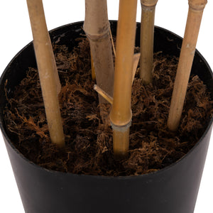 ΔΙΑΚΟΣΜΗΤΙΚΟ ΣΥΝΘΕΤΙΚΟ ΦΥΤΟ HM4736 BAMBOO ΣΕ ΓΛΑΣΤΡΑ 20x95x180Υεκ. - Pakobazaar