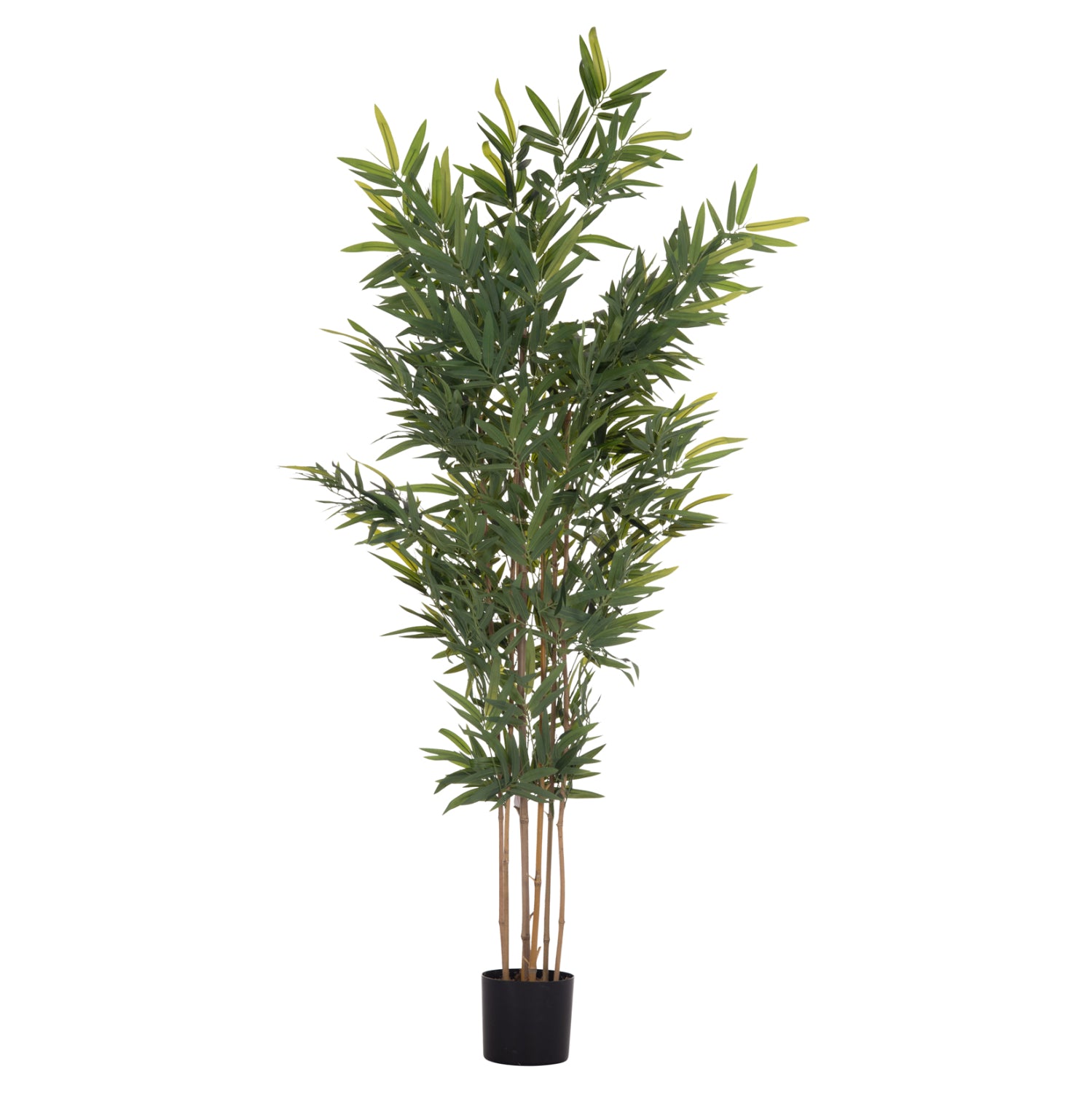 ΔΙΑΚΟΣΜΗΤΙΚΟ ΣΥΝΘΕΤΙΚΟ ΦΥΤΟ HM4736 BAMBOO ΣΕ ΓΛΑΣΤΡΑ 20x95x180Υεκ. - Pakobazaar