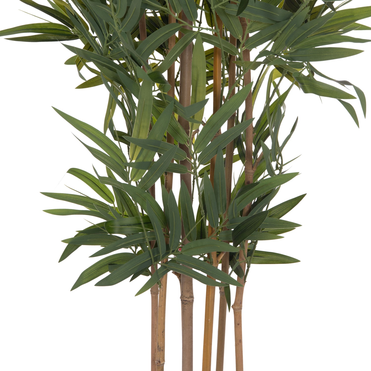 ΔΙΑΚΟΣΜΗΤΙΚΟ ΣΥΝΘΕΤΙΚΟ ΦΥΤΟ HM4737 BAMBOO ΣΕ ΓΛΑΣΤΡΑ 20x95x200Υεκ. - Pakobazaar