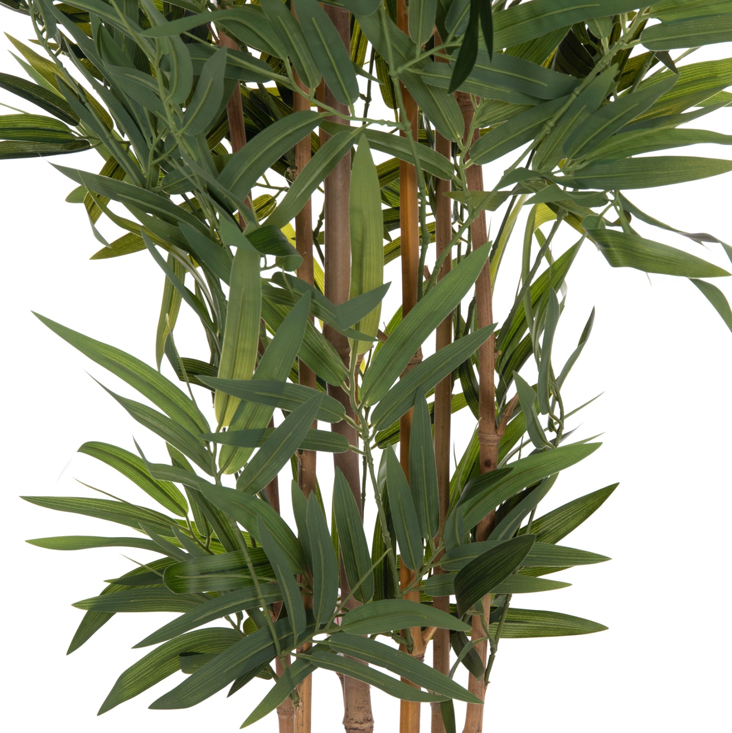 ΔΙΑΚΟΣΜΗΤΙΚΟ ΣΥΝΘΕΤΙΚΟ ΦΥΤΟ HM4737 BAMBOO ΣΕ ΓΛΑΣΤΡΑ 20x95x200Υεκ. - Pakobazaar